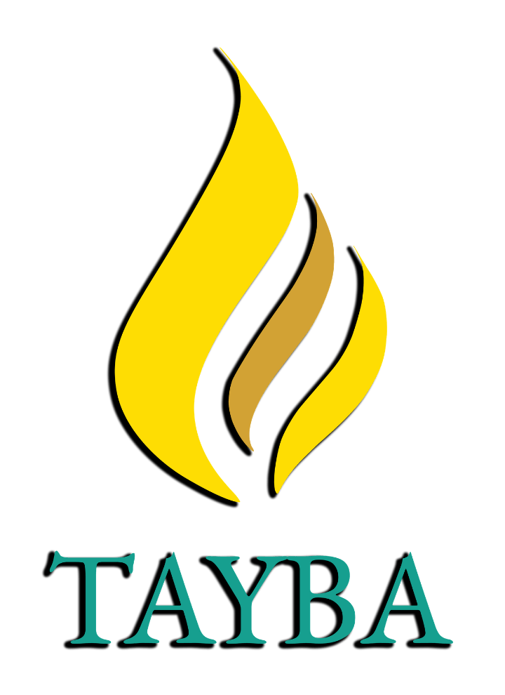 Tayba Foundation