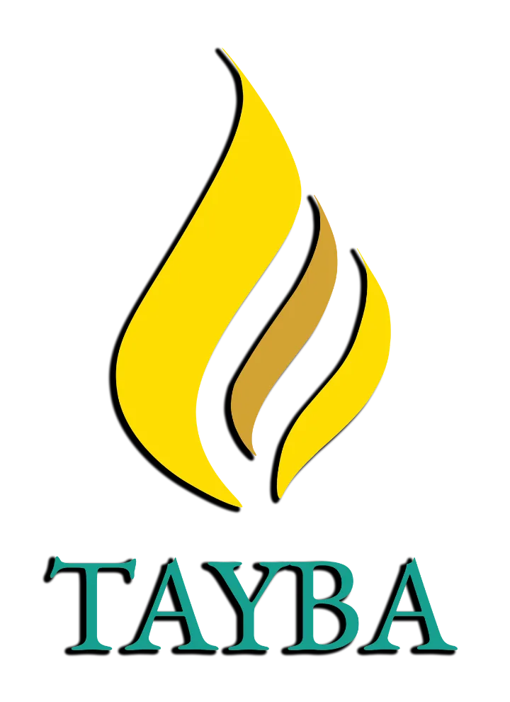 Tayba Foundation