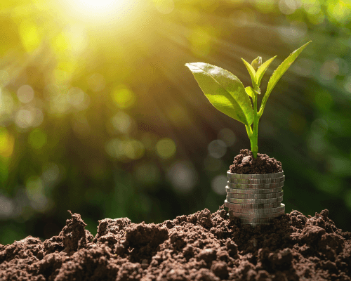 Untitled design (11)